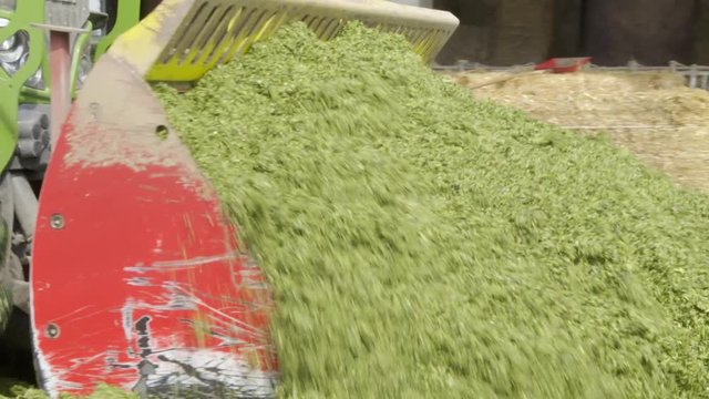 Trattore Agricolo lavorazione insilato