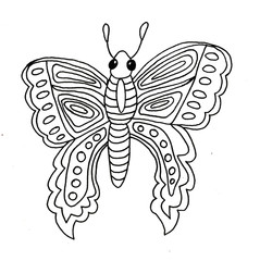 butterfly Hand drawn beetle illustration color animal autumn summer spring