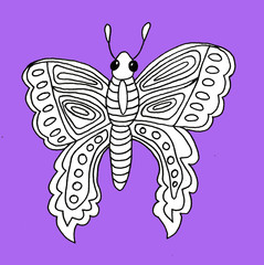 butterfly Hand drawn beetle illustration color animal autumn summer spring