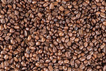 Coffee bean background, full farme, close up