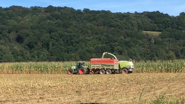 Ensilage du ma&iuml;s