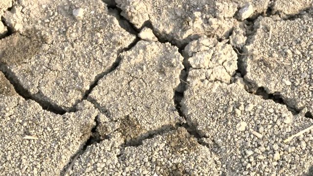 Terreno arido coltivazione senza pioggia
