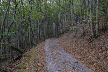 Herbst im Harz, Sachsen - Anhalt