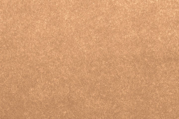 Fototapeta premium Brown paper texture background