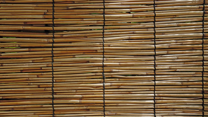 Natural bamboo textured wall background in outdoor garden