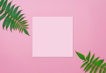 Fototapeta na wymiar Flat lay, square pink paper blank page and green plants on pink pastel color paper background. Place for text.