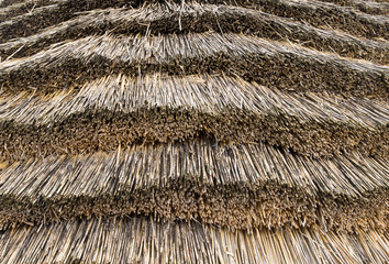 texture of straw as background