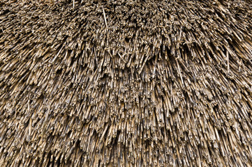 background of thatch reed straws