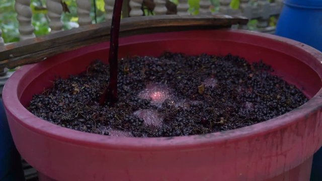 Winemaking. Mixing "cap" of grape skins.