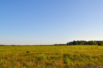 Field and sky on a sunny summer day. Russia. Moscow region