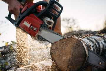 Closeup view on chainsaw in strong lumberman hands. Sawdust fly apart
