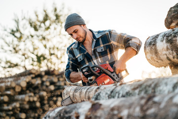 Strong professional lumberman use chainsaw on sawmill. Lumberjack sawing big tree
