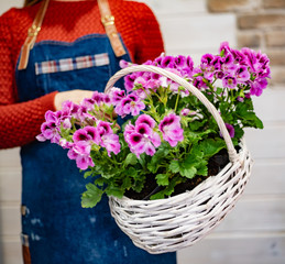 nice bouquet in the hands