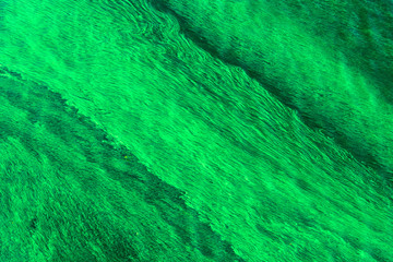 Green algae on the water - beautiful blurred background