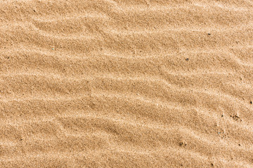 Fototapeta na wymiar Beach sand with stripes from the waves - natural background with copy space
