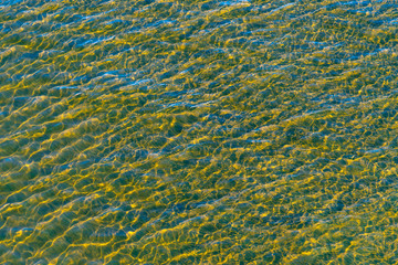 Water with fine waves with clear water with algae