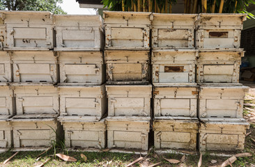 Bee boxes used to pollinate an almond orchard