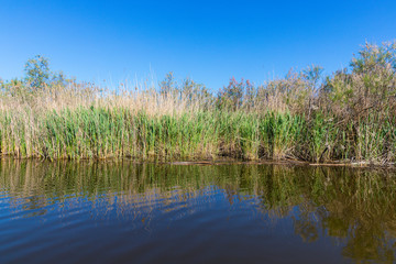 Stubble fields by the river in Evros Delta, Greece