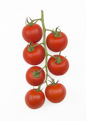 CHERRY TOMATOES ON THE VINE ISOLATED ON WHITE BACKGROUND