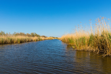 Stubble fields by the river in Evros Delta, Greece