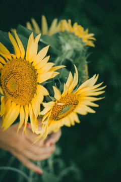 Sunflowers Boquet