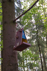 Feeders for birds in the city park