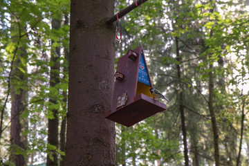 Feeders for birds in the city park