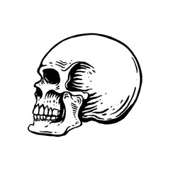 Hand drawn human skull illustration on white background. Design element for logo, label, emblem, sign, poster, t shirt.