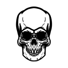 Hand drawn human skull illustration on white background. Design element for logo, label, emblem, sign, poster, t shirt.