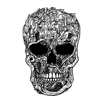 Hand Drawn Human Skull Made from grapevine. Design element for poster, t shirt.