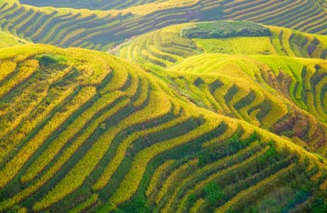 Deurstickers Longji Rice Terraces © swisshippo