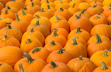Colorful pumpkins