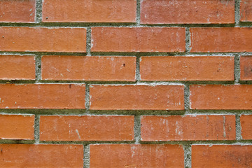 Old brick wall texture and surface