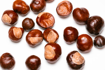 pine cones, chestnuts, acorns and dried leaves on a white background