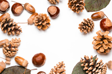 pine cones, chestnuts, acorns and dried leaves on a white background