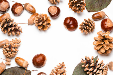pine cones, chestnuts, acorns and dried leaves on a white background