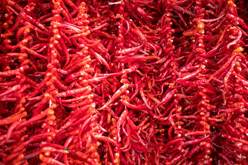 Fototapeta premium pepper hanging to dry in the sun