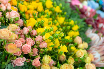 Wall of flowers and herbs.