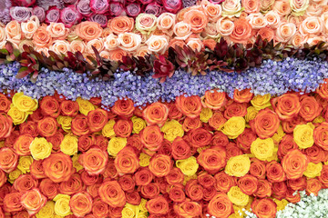 Pattern of red, orange, and yellow roses.
