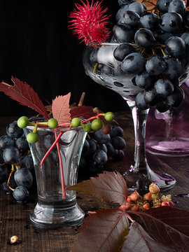 Still life with grapes on a dark background