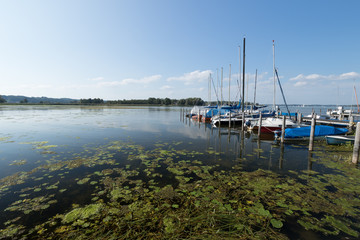 Chiemsee