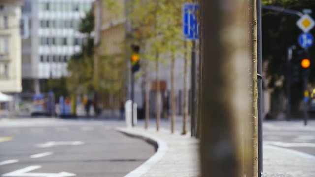 Slide from a tree to empty closed down street long shot 4K. Long shot dolly slide from right to left with refocus from tree trunk to street. Sunny day.