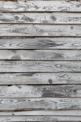 Gray wood texture