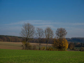 Fototapeta premium Rural scene in autumn
