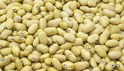 kidney beans organic food