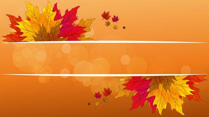 autumn leaves with a banner of white lines