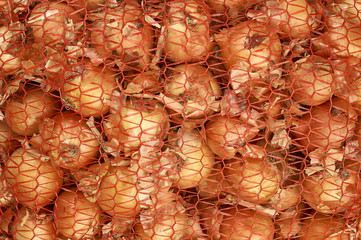 Onions in a crate in the supermarket