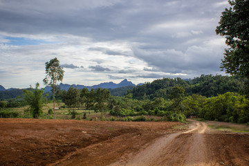 Fototapeta na wymiar Dirt road in the countryside in Laos