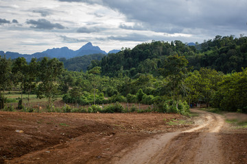 Fototapeta na wymiar Dirt road in the countryside in Laos