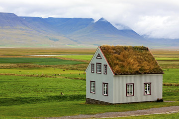 typical green houses with gras roof in iceland